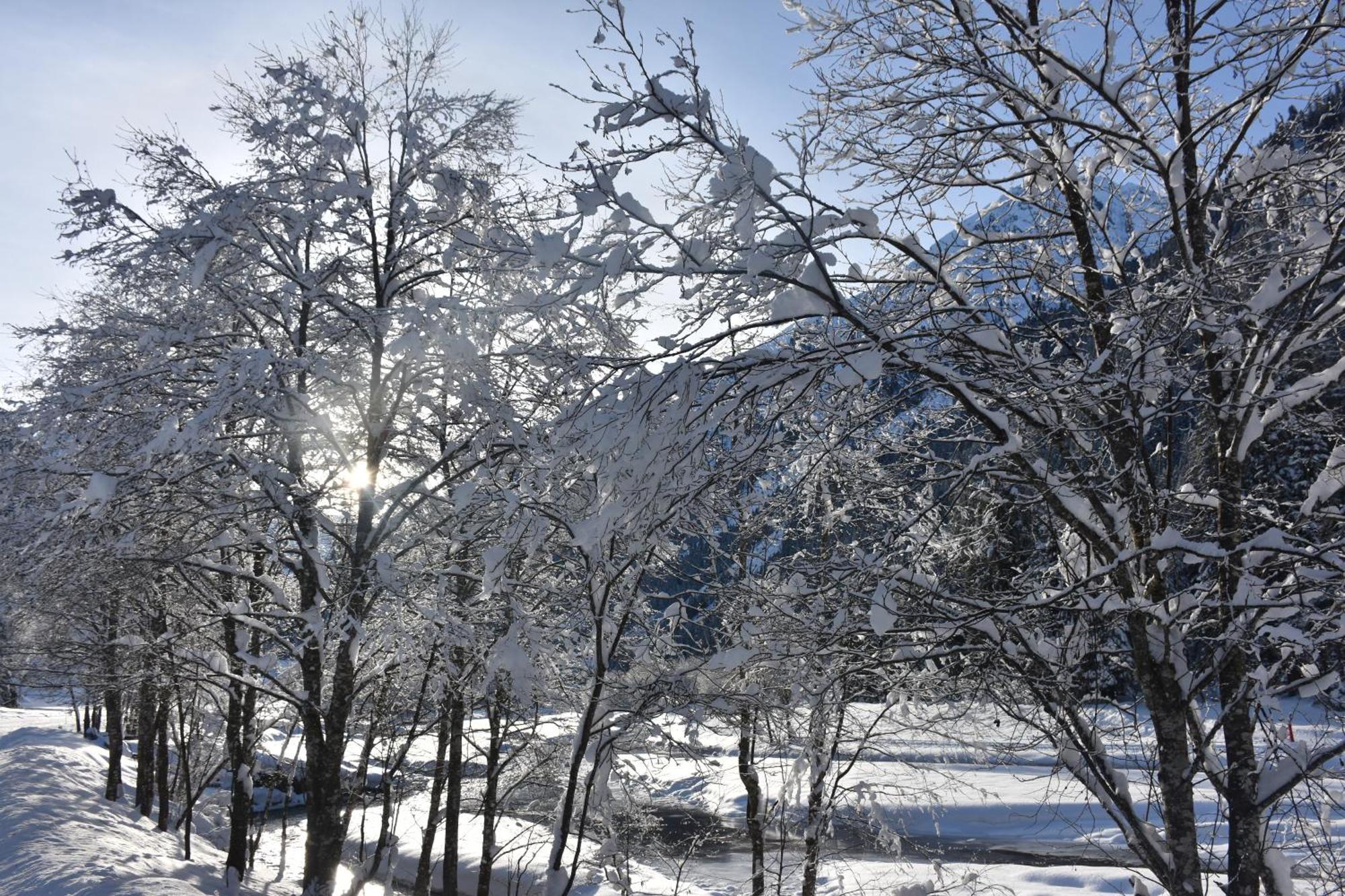 Ferienwohnung Haus Marco Neustift im Stubaital Exterior foto